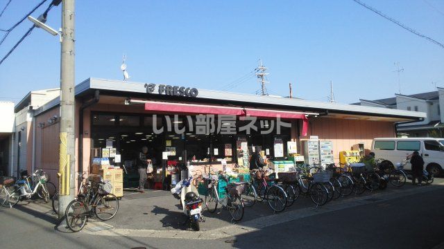 スーパー　フレスコ 向島店（スーパー）まで187m