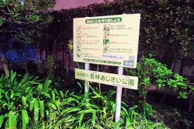 公園　若林あじさい公園（公園）まで521m