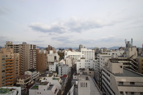 眺望　※別部屋の写真です