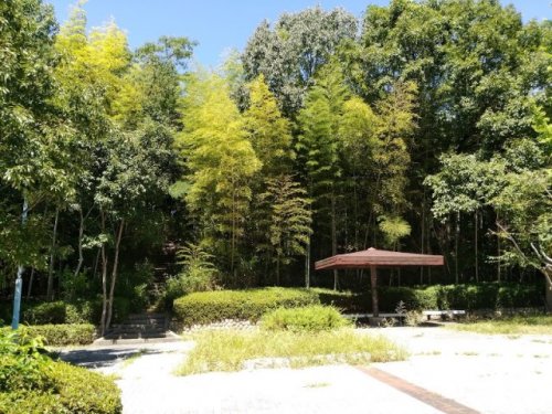 公園　池上中央公園（公園）まで423m
