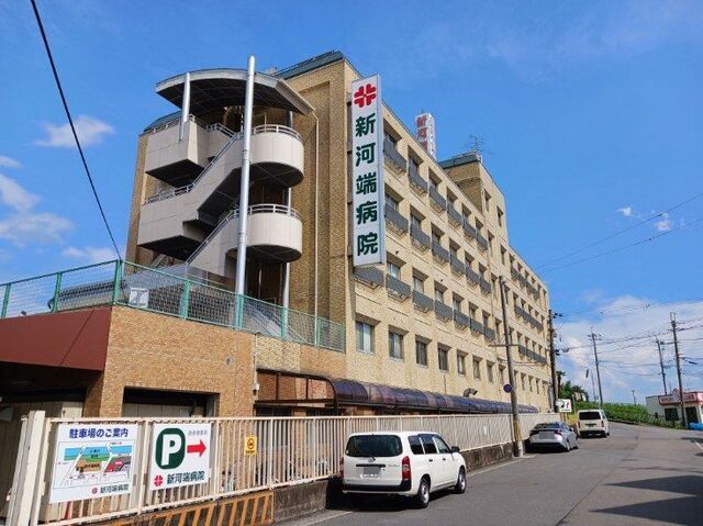 病院　新河端病院（病院）まで800m