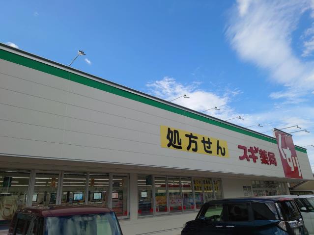 ドラックストア　スギ薬局高岡中央店（ドラッグストア）まで550m