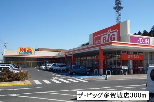 ショッピングセンター　ザ・ビッグ（ショッピングセンター）まで300m