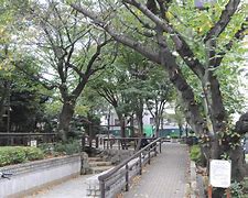 公園　中町せせらぎ緑地公園（公園）まで191m