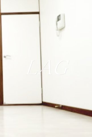 セキュリティ　モニター付インターホンです。