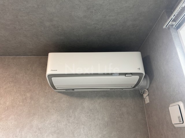 ベースセグレタのその他写真