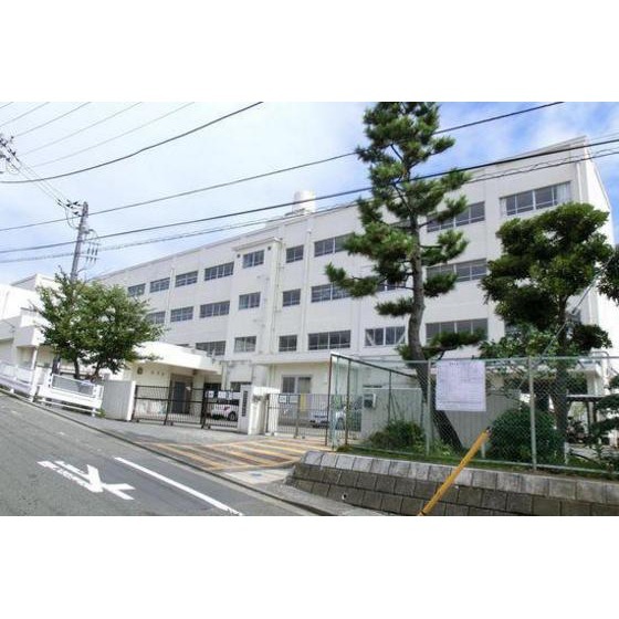 小学校　横浜市立もえぎ野小学校（小学校）まで380m