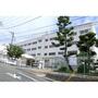 小学校　横浜市立もえぎ野小学校（小学校）まで380m