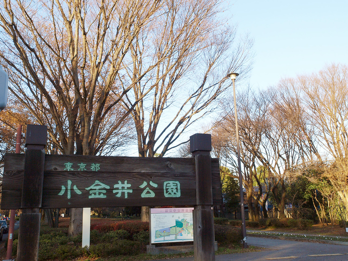 公園　小金井公園（公園）まで530m