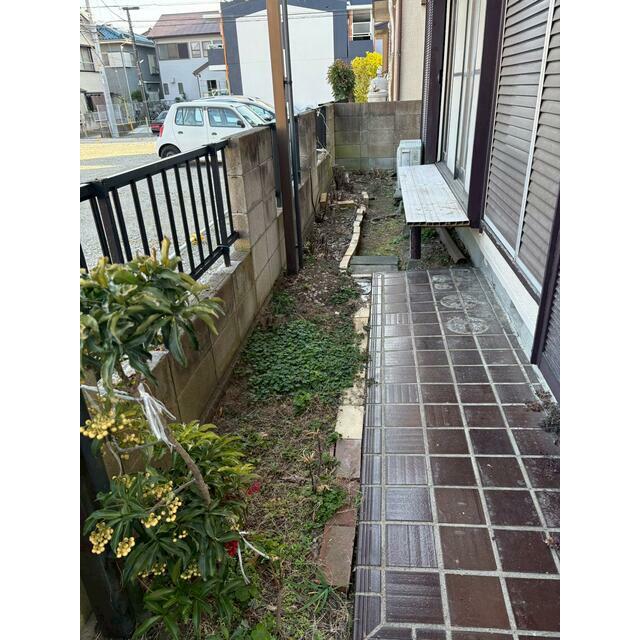 庭