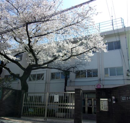 小学校　豊島区立さくら小学校（小学校）まで532m