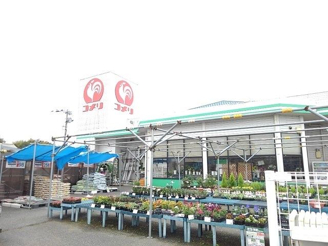 ホームセンター　コメリハード＆グリーン津屋崎店（ホームセンター）まで3000m