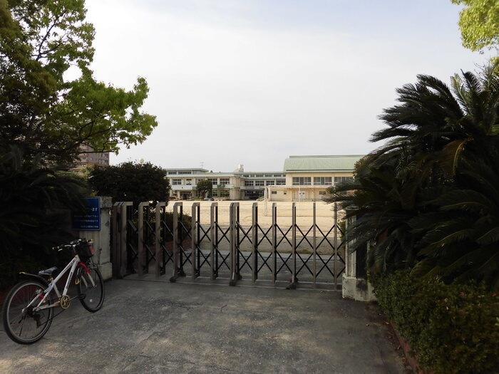小学校　明野東小学校（小学校）まで799m