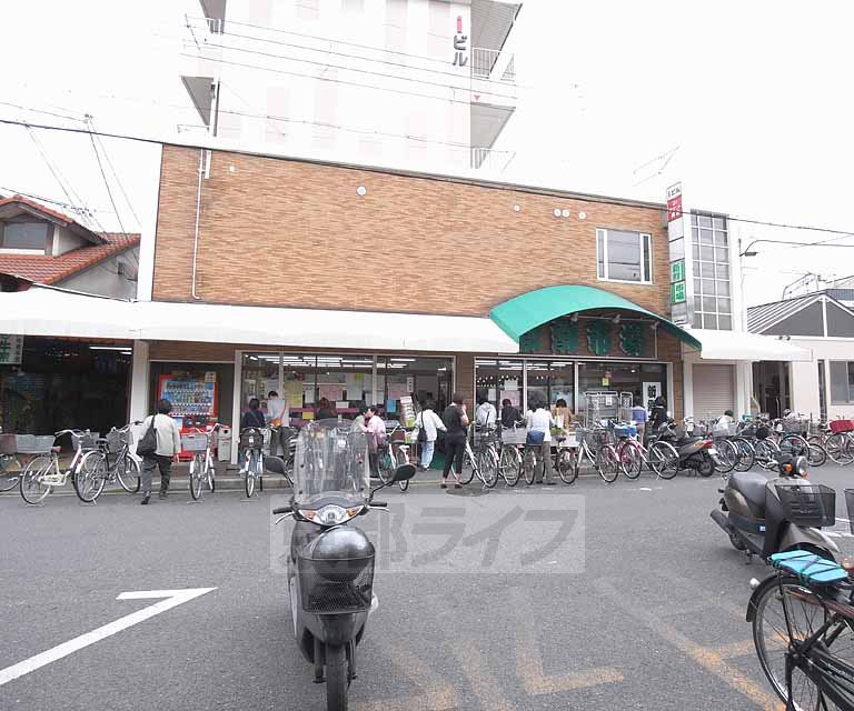 スーパー　新鮮市場丸の内（スーパー）まで89m