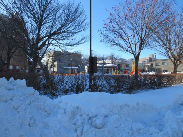 その他共有部分　目の前公園♪