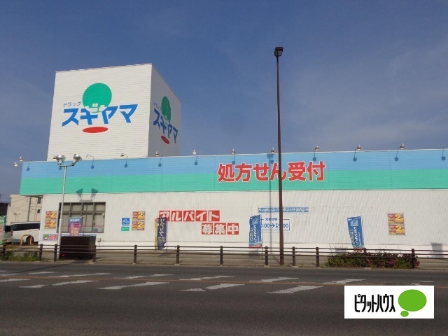 ドラックストア　ドラッグスギヤマ筒井店（ドラッグストア）まで305m
