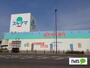 ドラックストア　ドラッグスギヤマ筒井店（ドラッグストア）まで305m