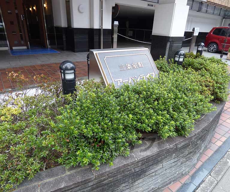 庭