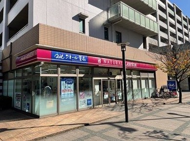 コンビニ　ナチュラルローソン豊洲三丁目店（コンビニ）まで102m