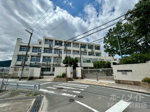 小学校　島本町立第一小学校（小学校）まで596m
