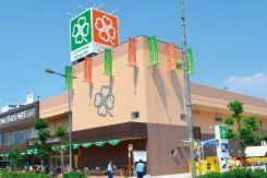 スーパー　ライフ高殿店（スーパー）まで480m