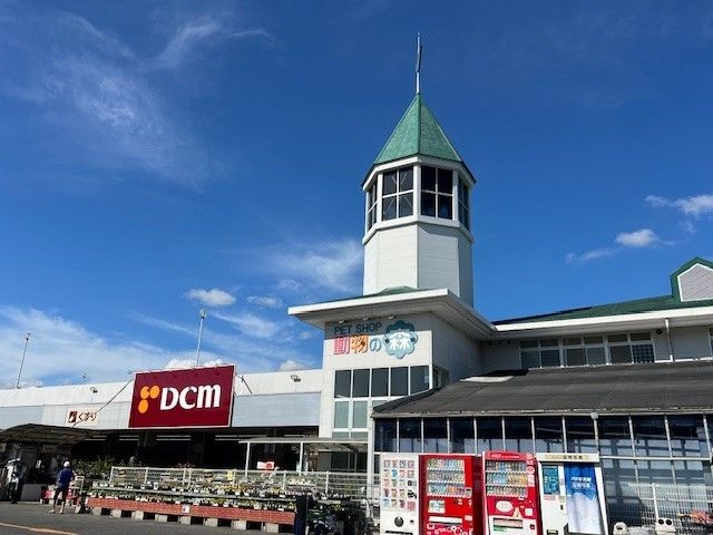 ホームセンター　DCMダイキ（ホームセンター）まで1000m