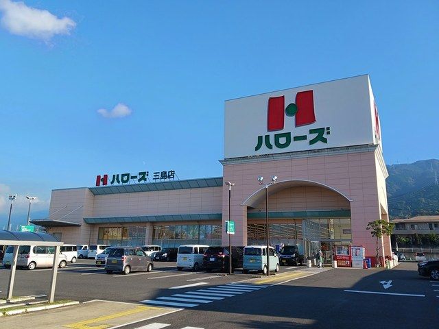 スーパー　ハローズ三島店（スーパー）まで502m