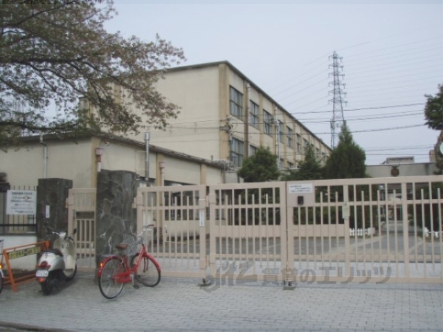 小学校　葛野小学校（小学校）まで360m