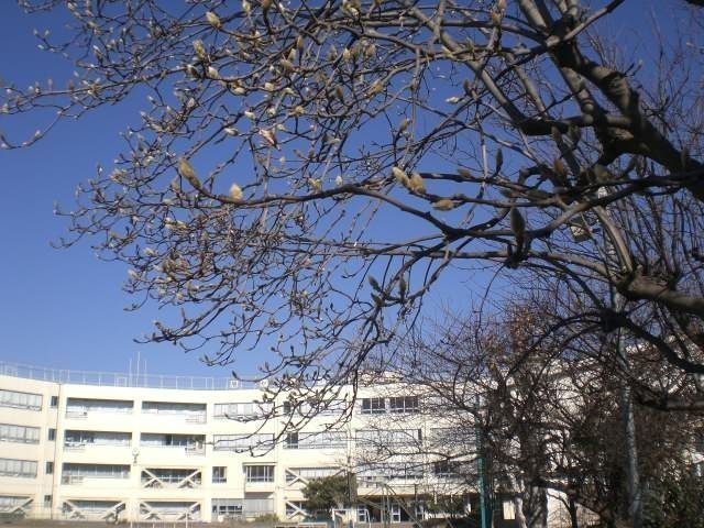 小学校　日野市立旭が丘小学校（小学校）まで865m