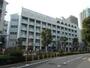 中学校　中央区立佃中学校（中学校）まで539m