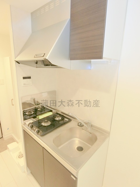 キッチン　2口ガスシステムキッチン