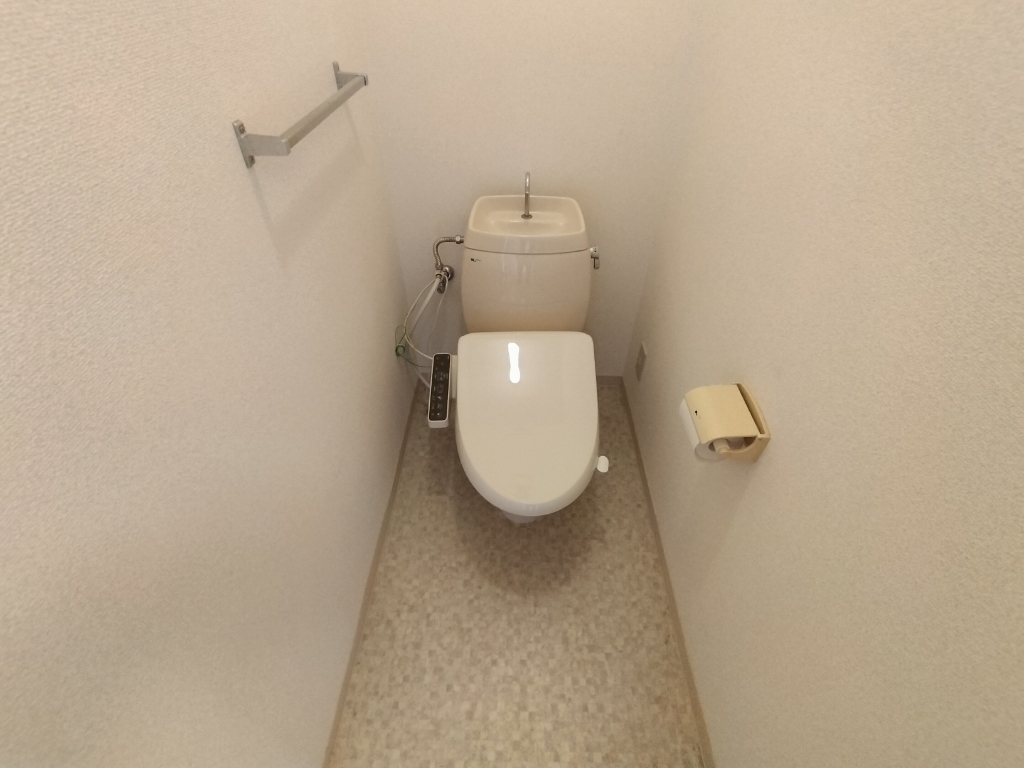 ヴェルドミールのトイレ写真