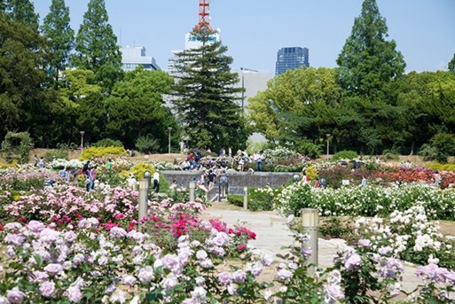 公園　靱公園（公園）まで724m