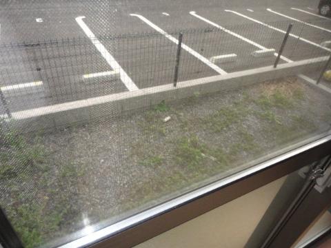 エクセランのその他写真
