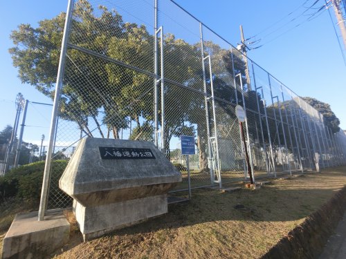 公園　八幡運動公園（公園）まで534m
