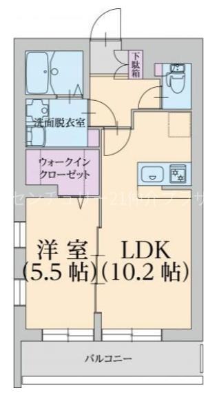 アンフィル湘南の間取り写真