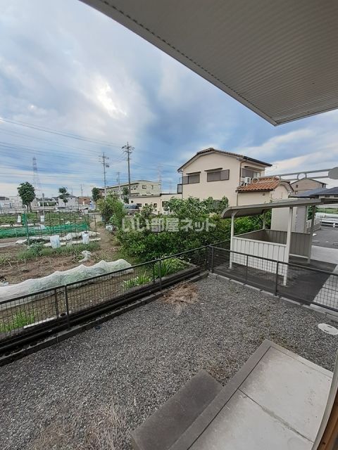 庭