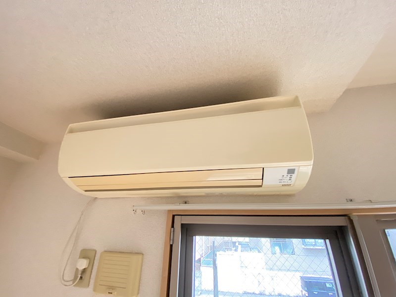 ヴェルドミールマーガレットのその他写真
