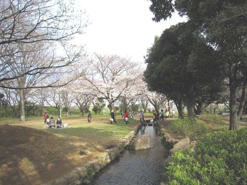 公園　稲田公園（公園）まで227m