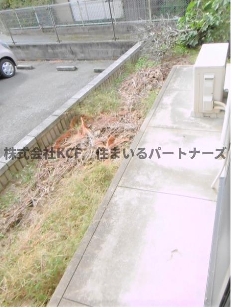 アフローテ山川のその他写真