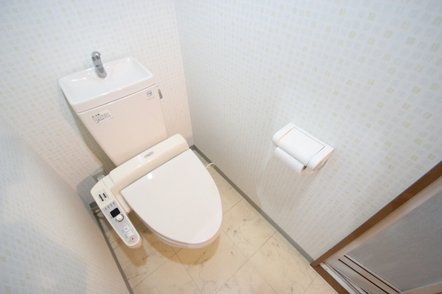 トイレ　写真は違う号室です。