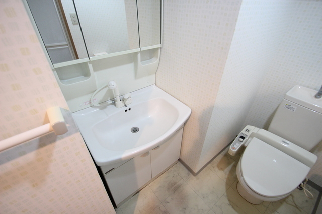 洗面設備　写真は違う号室です。