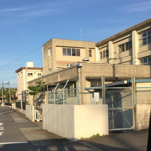 小学校　一宮市立開明小学校（小学校）まで175m