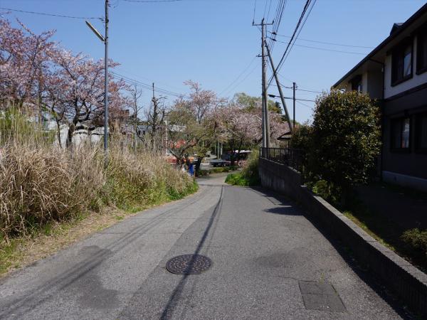 その他　その他