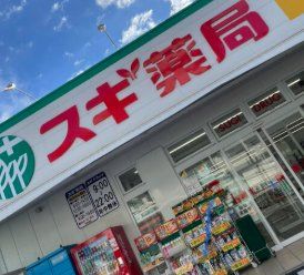 ドラックストア　スギ薬局南行徳店（ドラッグストア）まで40m