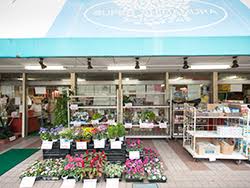 スーパー　スーパー嶋村（スーパー）まで134m