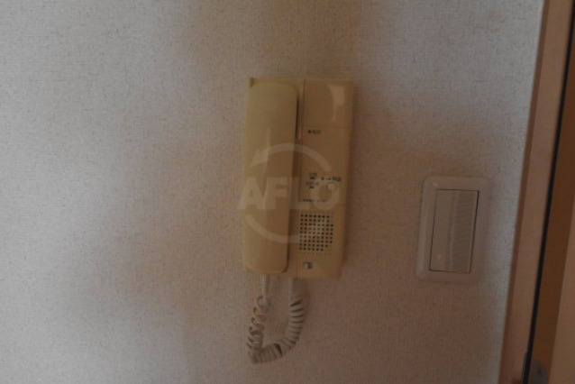 セキュリティ　プレアデス本田