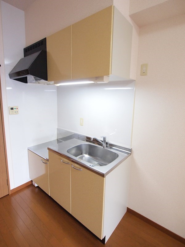 キッチン　1DKタイプはキッチンが広いのが良いですね。