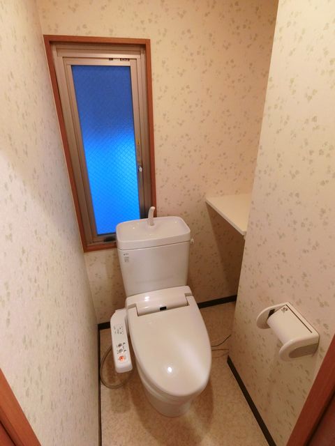 ティーホームズ三国ヶ丘のトイレ写真