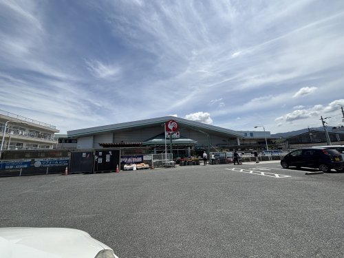ホームセンター　コメリハード&グリーン河内河南店（ホームセンター）まで63m